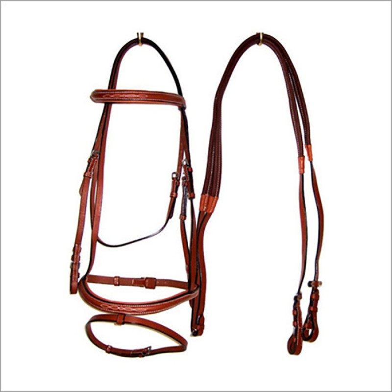 English Bridle