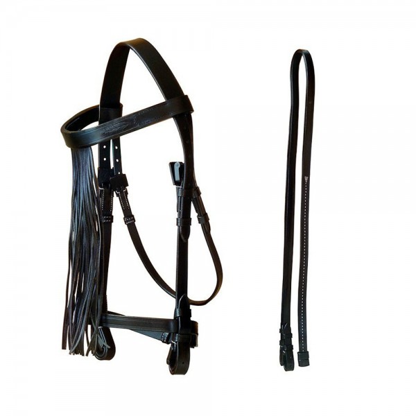 Spanish Vaquero Bridle