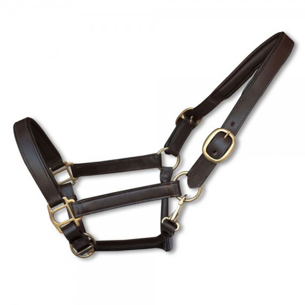 Leather Halter