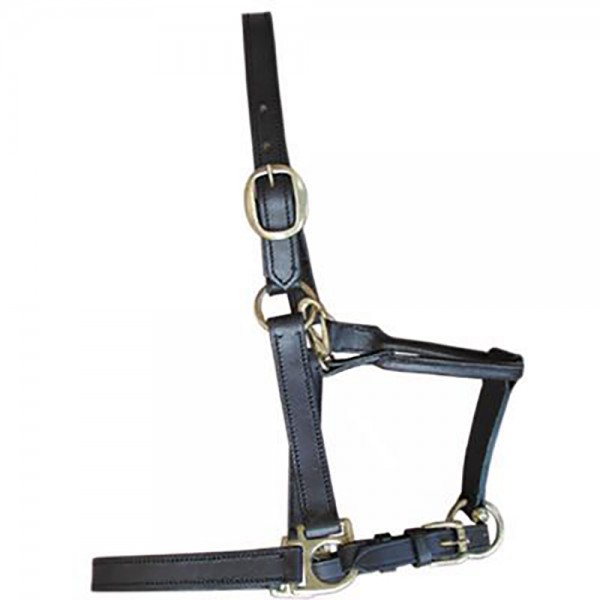 Leather Halter