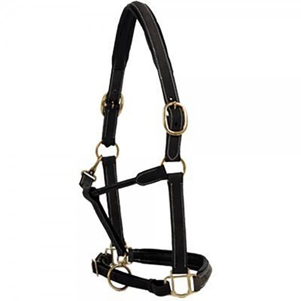 Leather Halter